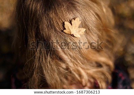 Close up of small golden autumn leaf in hair of girl or woman back to camera. Autumn, changing concept, haircare concept.