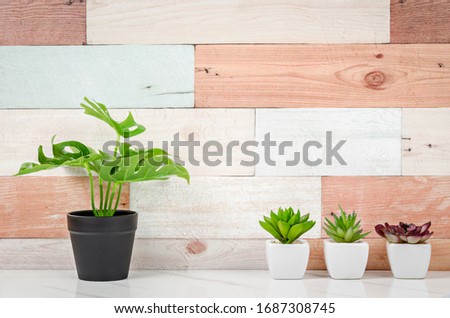 Empty color wooden wallpaper top table with green plant. 