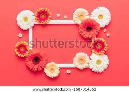 Happy Mother's Day, Women's Day, Valentine's Day or Birthday Living Coral Lush Lava Background. Floral flat lay greeting card template with beautiful gerberas.