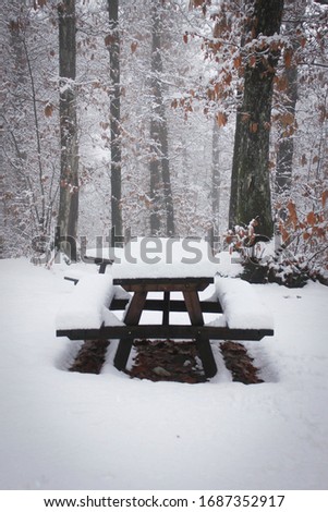 
pic nic table in a snowy forest