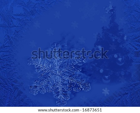 blue christmas card with snowflakes and fir