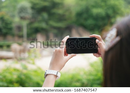 Close hands of young girl holding smartphone taking picture on zebra in the zoo.