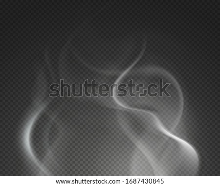 Hot steam. Isolated foggy smoke cloud. Burning drink food vapor on transparent background. Spooky fog, water mist waves vector illustration Royalty-Free Stock Photo #1687430845