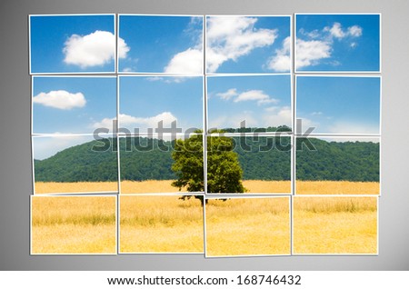 Photo cut into pieces with nature concept