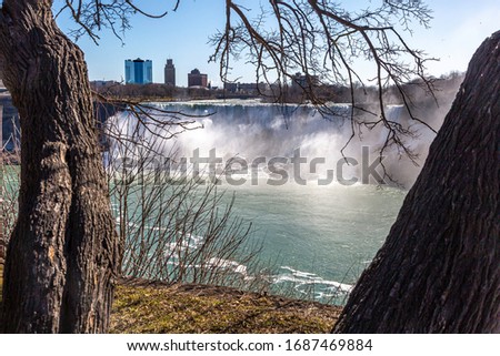The American Falls framed these trees 