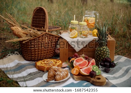Tropical picnic - fruits, picnic basket, camping
