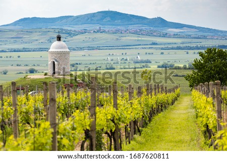 Vineyards, Palava region, South Moravia, Czech Republic Royalty-Free Stock Photo #1687620811
