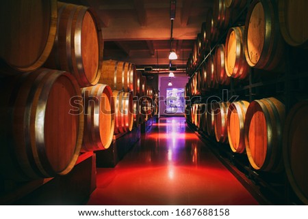 Oak barrels with wine in dark cellar. Modern production of wine with the observance of age-old traditions. Noises and large grain - stylization under the film. Soft focus.