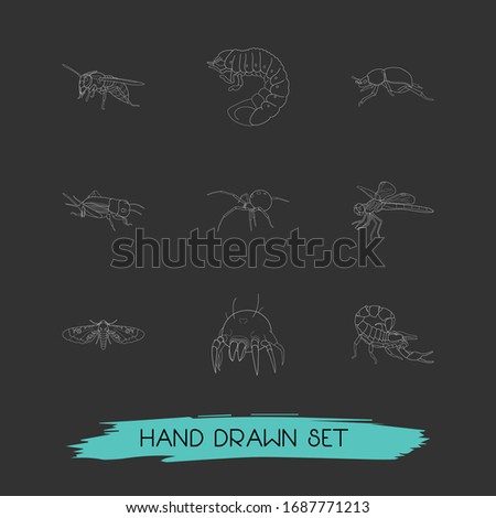 Set of bug icons line style symbols with fat tailed scorpion, cricket, wasp and other icons for your web mobile app logo design.