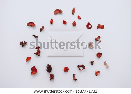 White blank paper envelope on a white background around decorated with dried petals. Top view