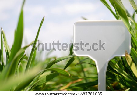 Blank white sign with copy space on a farm field. Countryside concept. Blank white sign to indicate variety in a row. Blank white sign to indicate a cultivar in a row.