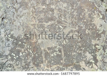 Rock paintings in the Altai Mountains. Deer