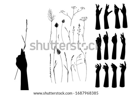 Female hand silhouettes of holding herbal set. Vector black and white creative illustration. Isolated elegance design flower floral and human elements collection 