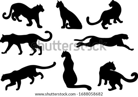 Image of silhouettes in different poses of a feline. 