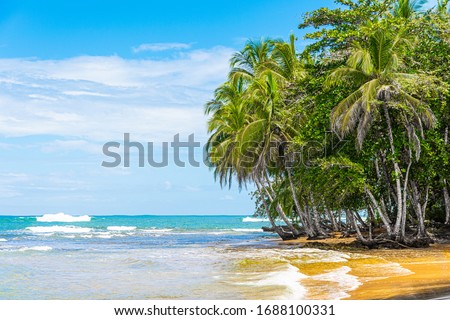 Beautiful beach view. Tropical beach with palms. Holiday mood. Costa Rica