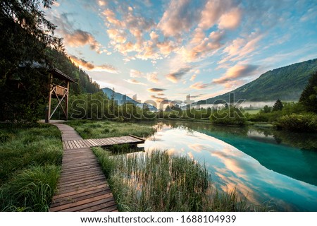 Zelenci natural reserve - the spring of hte river Sava Dolinka. Slovenia - Kranjska Gora - Podkoren Royalty-Free Stock Photo #1688104939