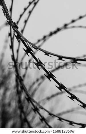 Monochrome photo of detail of barbed wire. Steel border. 