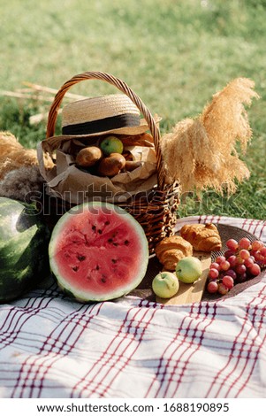 Summer picnic - fruits, picnic basket, camping