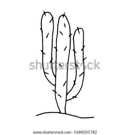 Children's coloring book. Cactus. A simple drawing of a cactus. Black and white vector image of a plant. Design for postcards and posters.