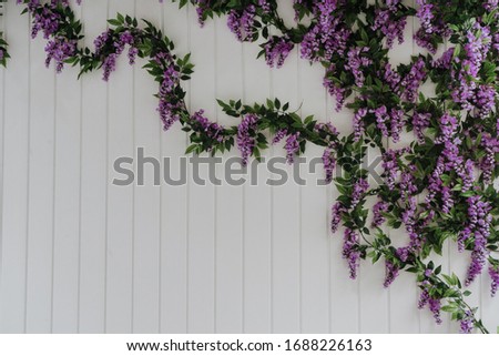 Background with a border of purple wisteria on painted wooden planks. Place for text with copy space