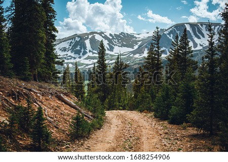 Mountain trail for four wheeling. Colorado mountains and the pine trees. Off road landscape. Dirt trail for off roading in Colorado. Royalty-Free Stock Photo #1688254906