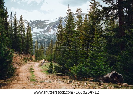 Mountain trail for four wheeling. Colorado mountains and the pine trees. Off road landscape. Dirt trail for off roading in Colorado. Royalty-Free Stock Photo #1688254912