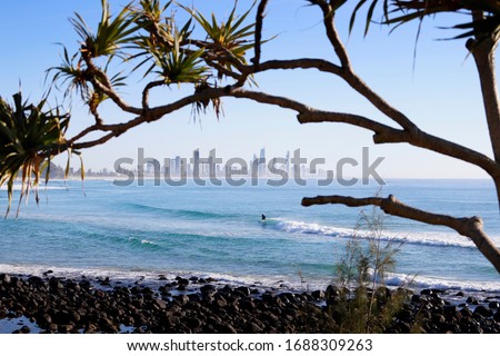 A surfer rides a wave on a bright sunny day with the silhouette of a pandanus tree.