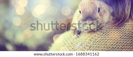 spring look, girl holding a rabbit easter greetings, beautiful background in a blooming apple orchard