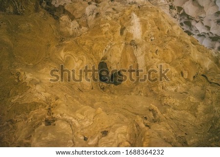 A closeup shot of a brown textured rock