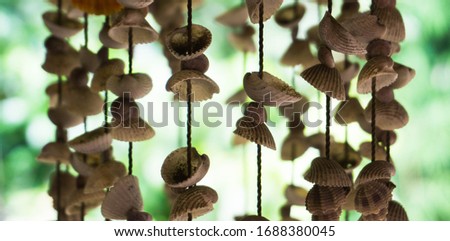 Corner near handmade shells with natural background
