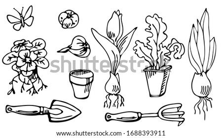 Spring flowers and garden tools. Garden collection(plant bulbs, fork, seedlings, flower, butterfly, ). Set of hand drawn elements. Spring drawings in sketch style. EPS 8