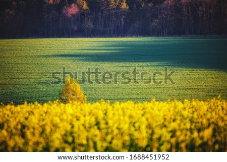 Picturesque agricultural area on the springtime on a sunny day. Location place of South Moravian region (Moravia), Czech Republic, Europe. Minimalistic landscape of agrarian industry. Beauty of earth.