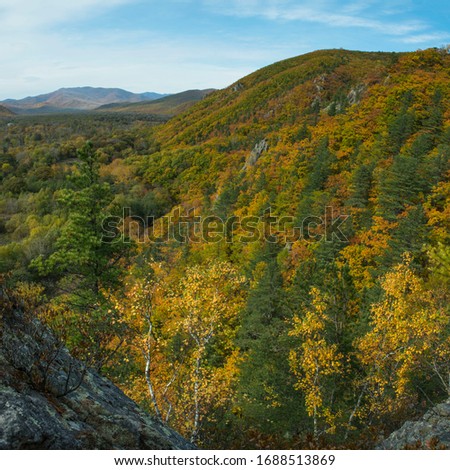 Russia. Primorye.  Sikhote-Alin. The surroundings of Terney.