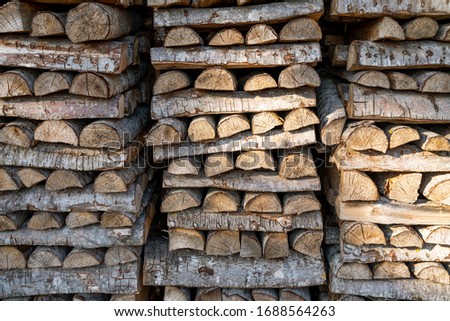 Stacked firewood for winter. cut fire wood piled up in stack. Background of renewable energy source.chopped logs for heating - firewood. Forest resources. Gathering resources for winter period.