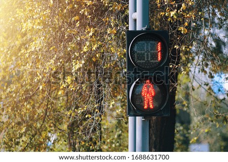 Pedestrian traffic light. The red signal prohibits crossing the road.