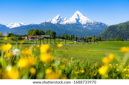 Scenic panoramic view of idyllic alpine mountain scenery with colorful blooming wild flowers in fresh green meadows and snowcapped mountain peaks in beautiful morning light with blue sky in spring Royalty-Free Stock Photo #1688733970