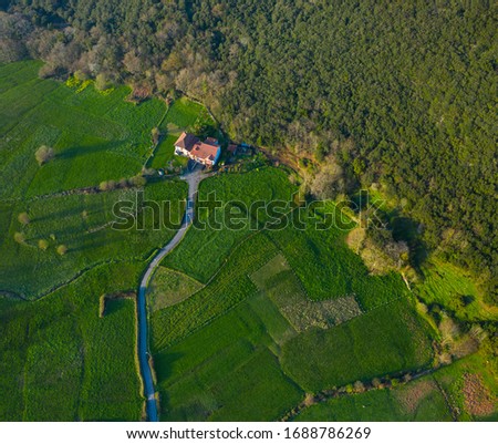 Countryside aerial view of a Cantabrian oak forest in Liendo Valley, Liendo Municipality, Cantabrian Sea, Cantabria Autonomous Community, Spain, Europe