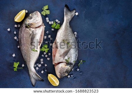 Two raw dorado fishes with herbs and lemon on dark blue background