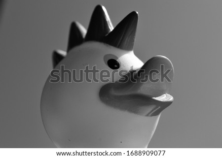 duck rubber toy black and white photo