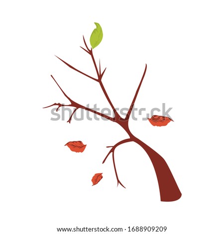 Dry leaf and tree vector design 