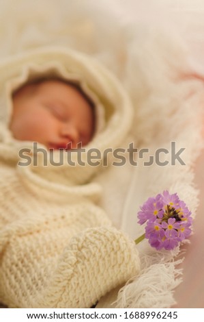 Newborn sleeping in a photo shoot in a knitted suit