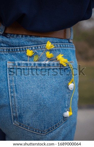 beautiful background. yellow flowers and headphones in jeans pocket
