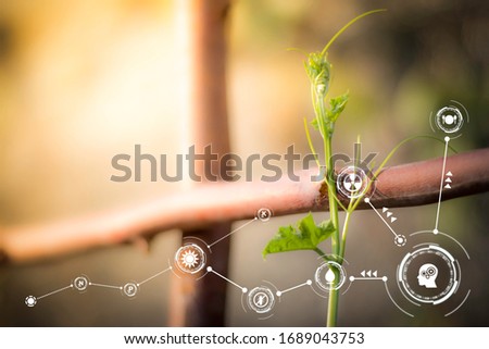 Smart technology with Internet of things futuristic agriculture concept. Analysis report with one finger click on digital screen. free space for text.  Blurred gentle artistic nature  background