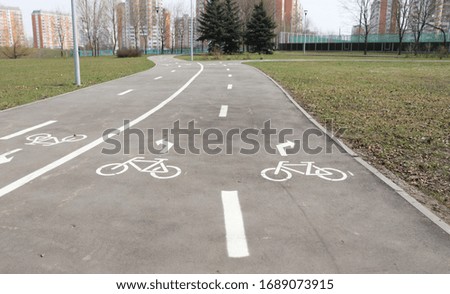 Bicycle path in the Park of big city