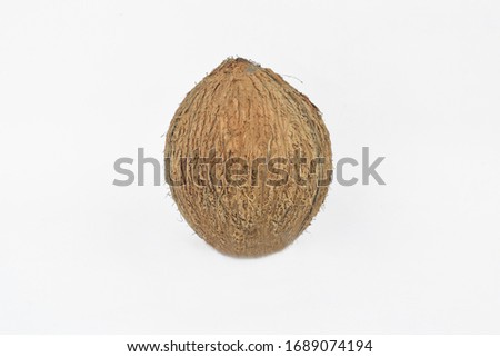 Portrait of a fresh coconut in the middle of an isolated empty white background