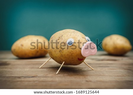 Funny potato in the shape of a pig