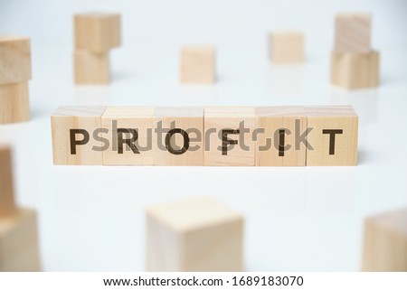 Modern business buzzword - profit. Word on wooden blocks on a white background. Close up.
