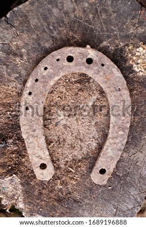 Horseshoe on a wooden log. Close-up. Texture