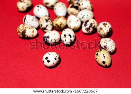Quail eggs are randomly scattered from top to bottom on a bright red background. The picture was taken close. The best photos for your catchy Easter design.