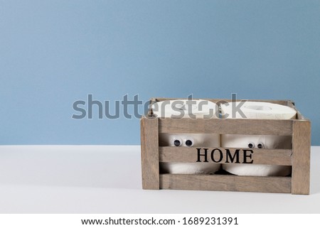 Two rolls of toilet paper with artificial eyes in a wooden box with the inscription Home on the grey blue background